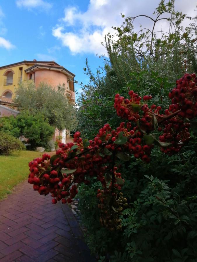 Locanda Tipica Sa Corte Oliena Eksteriør bilde