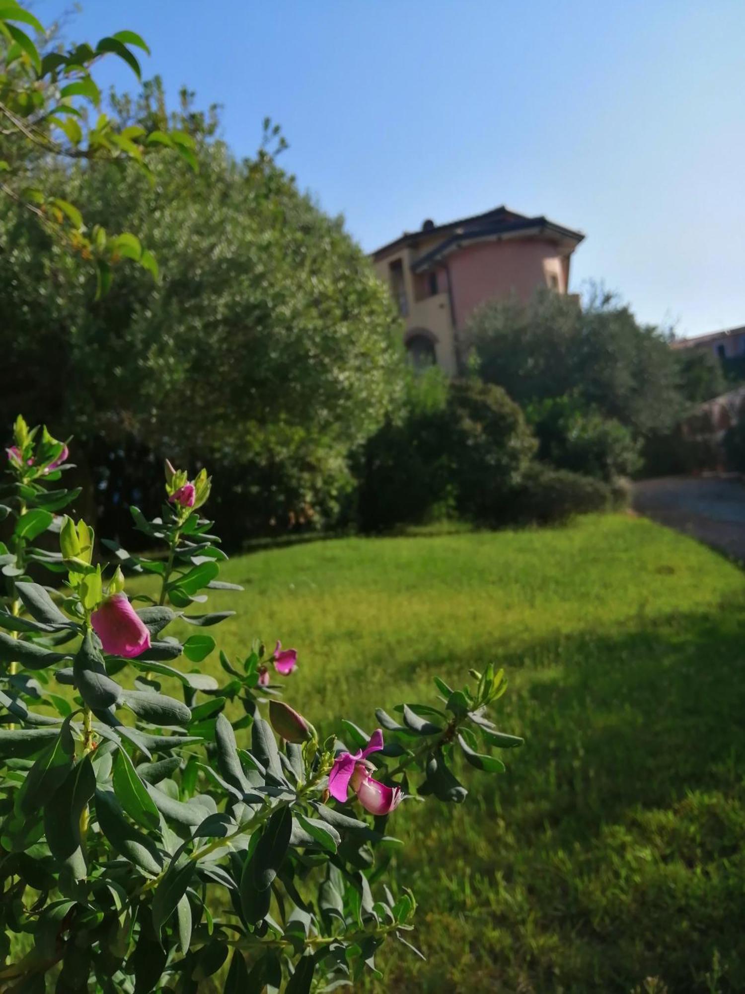 Locanda Tipica Sa Corte Oliena Rom bilde